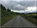 Minor road near Catlins Farm