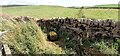 NY4940 : Field ditch forming Lazonby/Plumpton parish boundary viewed from road bridge by Roger Templeman