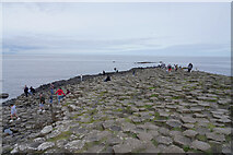 C9444 : The Giant's Causeway by Malcolm Neal