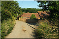 Lower Vinesend Farm