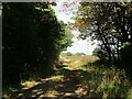 Farm track near Cotgrave