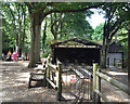 Frimley Lodge Miniature Railway