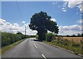 B4082 north of Naunton Court