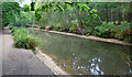 Low water in the Basingstoke Canal