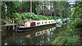 Boats stuck on their moorings