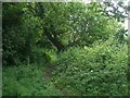 Public footpath to a hillside at Cefn Cribwr (2)