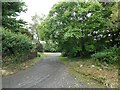 Access road to Honibere Farm