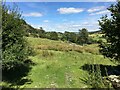 Field near Blaen-y-coed