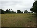 Parched grazing land near the River Thames