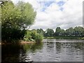 River Tay, Luncarty