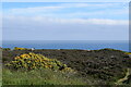 View over Findon Moor