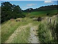 Bradford West Footpath 87 leaving Myrtle Grove Farm, Clayton