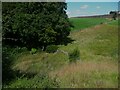 Looking down onto Bradford West Footpath 89 near Myrtle Grove Farm, Clayton