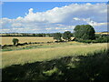 Grassland and wheat fields near Braunston in Rutland