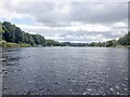 River Tay, Luncarty