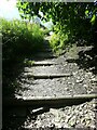 Steps on Bradford West Footpath 170, Clayton