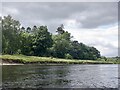 Woody Islands, River Tay