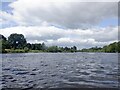 River Tay, Perth