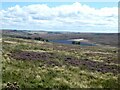 Moorland hillside above Waskerley Reservoir