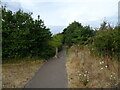 Footpath to Shepherd Meadows