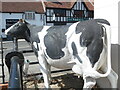 SP7005 : Sculpture of a cow in Thame town centre by David Hillas