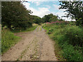 Old Wishaw Road between Law and Carluke