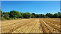 Ryarsh - Field south of Church Farm