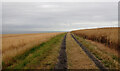 Track from Brough House Farm, Brotton, to the coast