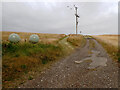 Track to Hunley Hall Farm, Brotton