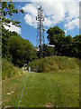 TQ3836 : Radio Mast near Saint Hill by David Hillas