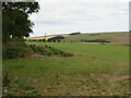 Cattle pasture at Blackburn