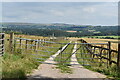 Farm track off Mollatts Wood Road