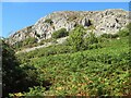 Cliffs above bracken