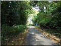 Strouds Green Lane, Rotherwick