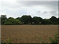 SU6853 : Field south of Newnham Lane by JThomas