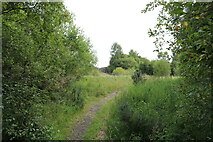 NT1887 : Path near Cullaloe Reservoir by Bill Kasman