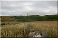 Pillbox situated on relic cliffs near Tangleha