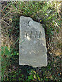 Old Boundary Stone, West Coker / East Chinnock