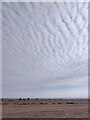 Mackerel sky over Black Rock Sands