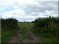 Field entrance south of Barnsworthy Farm