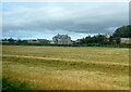 Houses south of Carrowclare seen from a train