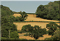 Fields near The Bourtons