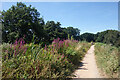 Basingstoke Canal Towpath