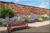 NT6779 : Seat by the Perennial Border in Lauderdale Park Dunbar by Jennifer Petrie