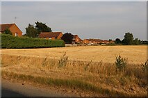 TF4917 : Field and houses by Wisbech Road, Walpole St Andrew by David Howard