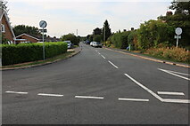 TF4517 : Long Road, Tydd Gote by David Howard