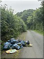 SN5404 : Fly tipping on country lane by Alan Hughes