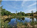 Pond, Hanwell Wine Estate, Hickling Pastures