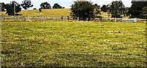 SE1393 : Fields west of Friar Ings by Luke Shaw