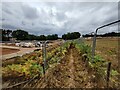 Footpath through the Lea Castle Village housing development